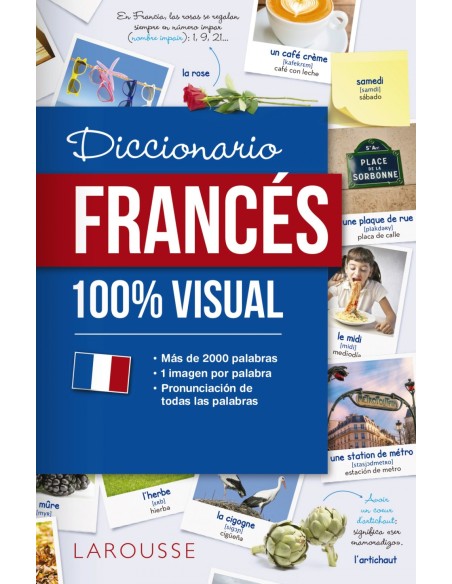 DICCIONARIO DE FRANCES 100 VISUAL DICCIONARIO DE FRANCES 100 VISUAL