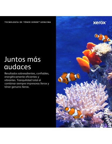 B310/B305/B315 Cartucho de tóner negro de capacidad estándar (3000 páginas)