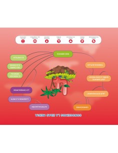 MERCADO MEDIEVAL 4 ANOS NIVEL 2 PROYECTO EXPLORA