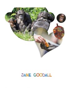 JANE GOODALL 4 ANOS PROYECTOS LO VES