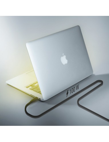 Cable USB 3.2 Gen2 10Gbps 4k@60Hz 5A 100W E-Marker, Tipo USB-C/M-USB-C/M, Negro, 3.0m