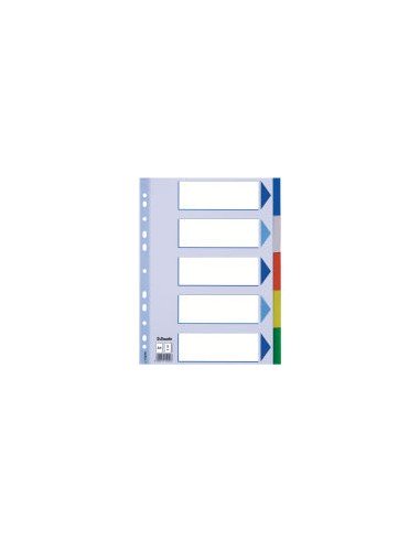 Multicoloured Polypropylene Dividers Separador en blanco con pestaña Polipropileno (PP) Multicolor