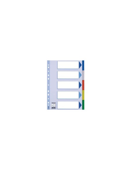 Multicoloured Polypropylene Dividers Separador en blanco con pestaña Polipropileno (PP) Multicolor