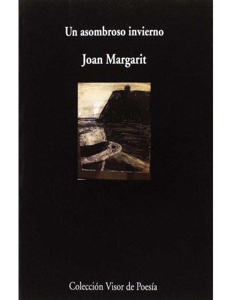 UN ASOMBROSO INVIERNO