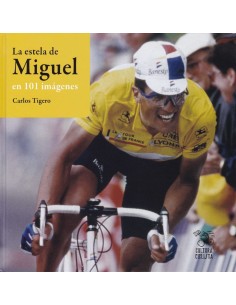 LA ESTELA DE MIGUEL EN 101 IMAGENES