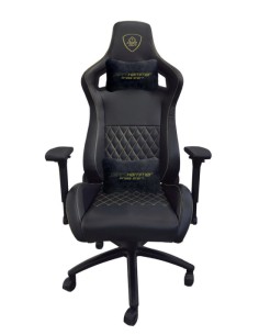 XSPROHAMMER Silla para videojuegos universal Asiento acolchado Negro, Verde