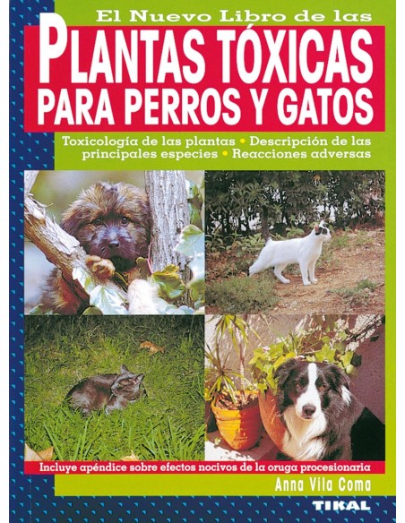 Plantas toxicas para perros y gatos