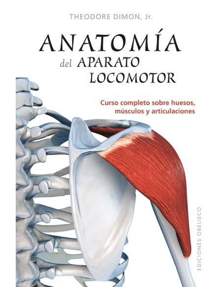 ANATOMIA DEL APARATO LOCOMOTOR