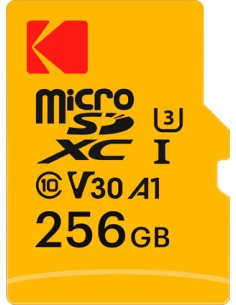 EKMSDM256GXC10HPRK memoria flash 256 GB MicroSD UHS-I Clase 10