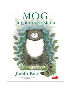 MOG EL GAT DESPISTAT