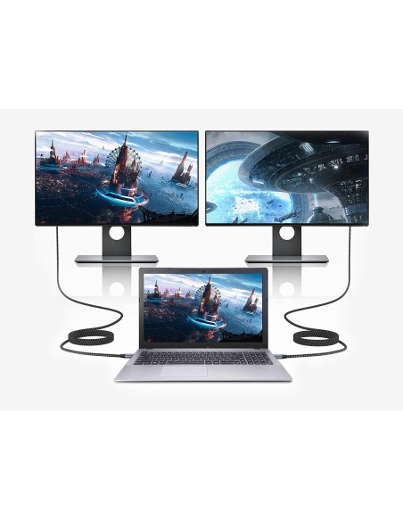 ABBY10G adaptador de cable de vídeo 2 m USB Tipo C HDMI Gris