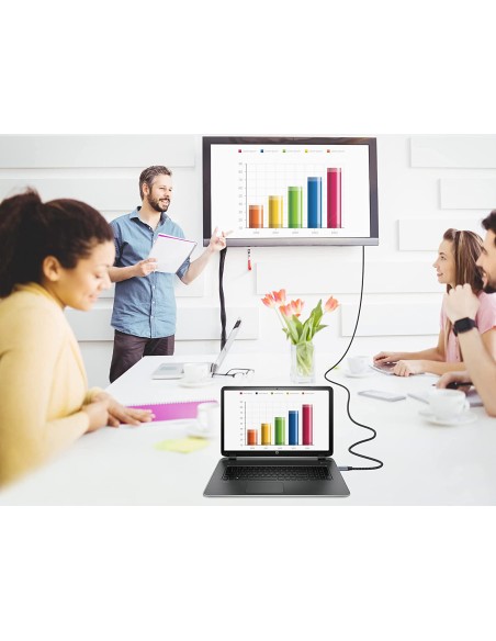 ABBY10G adaptador de cable de vídeo 2 m USB Tipo C HDMI Gris