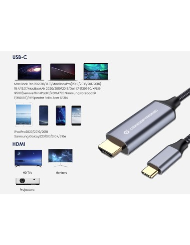 ABBY10G adaptador de cable de vídeo 2 m USB Tipo C HDMI Gris