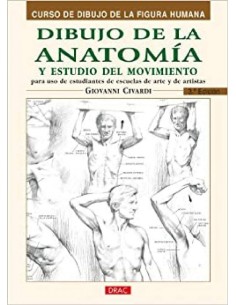 Dibujo de la anatomia y estudio del movimiento