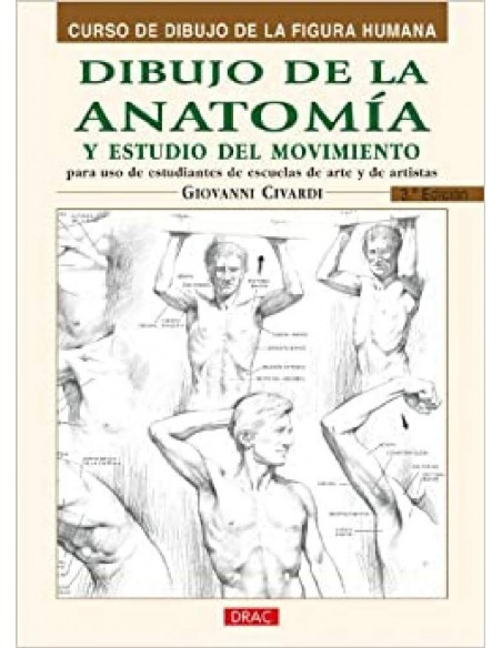Dibujo de la anatomia y estudio del movimiento