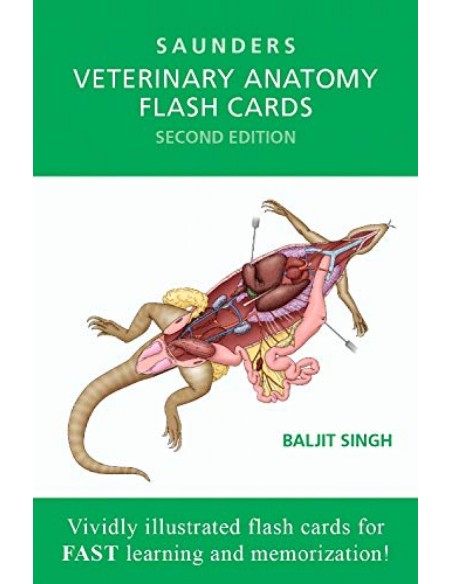 Veterinary Anatomy Flash Cards