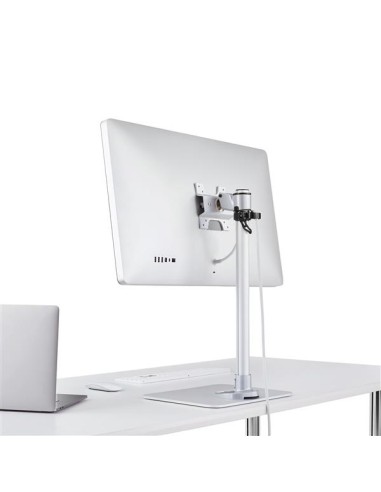 Soporte de Sobremesa para Monitor