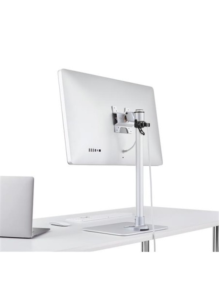 Soporte de Sobremesa para Monitor