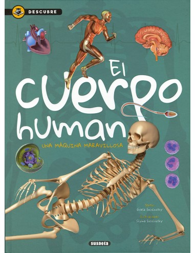EL CUERPO HUMANO