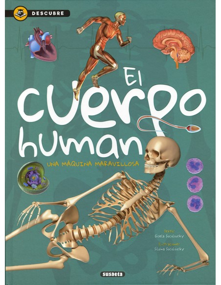 EL CUERPO HUMANO