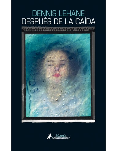 DESPUES DE LA CAIDA
