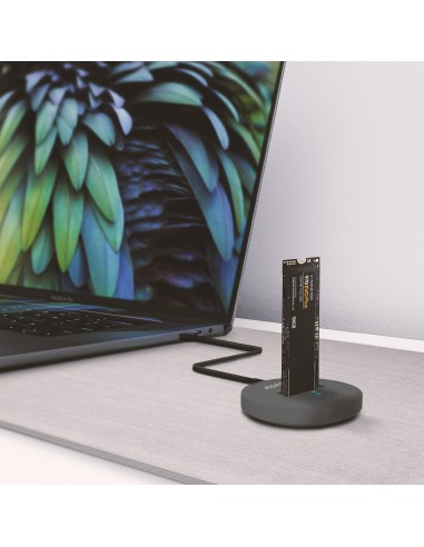 USB-C Dock M.2 (NGFF) ASUC-M2D014-GR SATA/NVMe A USB3.1 Gen2, Gris