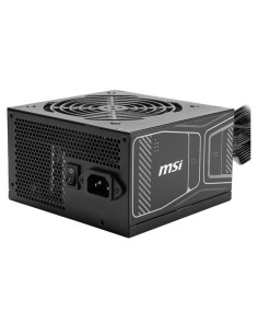 MAG A750GN PCIE5 unidad de fuente de alimentación 750 W 20+4 pin ATX ATX Negro