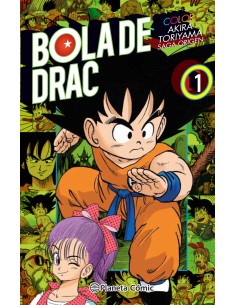 BOLA DE DRAC COLOR ORIGEN Y CINTA VERMELLA 1