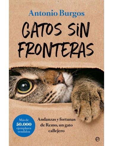 GATOS SIN FRONTERAS