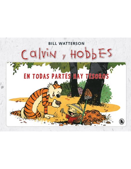 EN TODAS PARTES HAY TESOROS