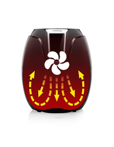 182021 Aerofryer Digital XL