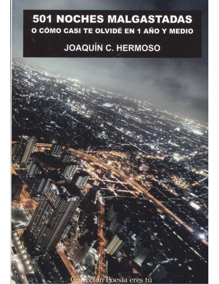 501 NOCHES MALGASTADAS O COMO CASI OLVIDO 1 ANO Y MEDIO