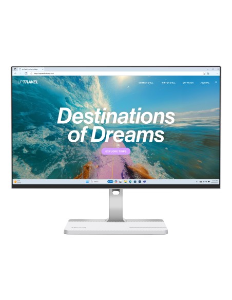 L24D-4C pantalla para PC 60,5 cm (23.8") 1920 x 1080 Pixeles Full HD LCD Gris