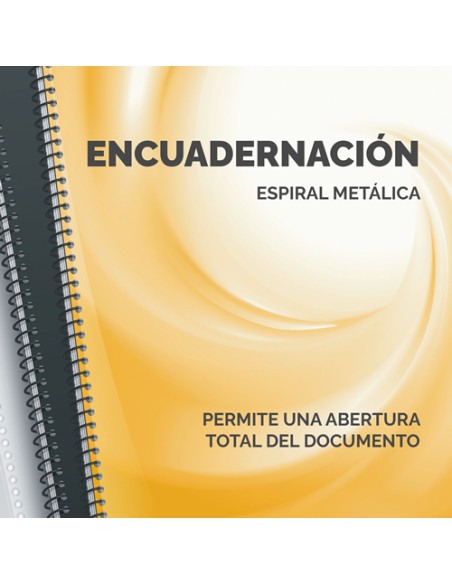  ENCUADERNADORA METAL 100 PARA ESPIRAL METALICA 20H A4 5:1 