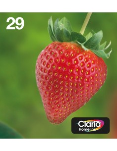 Strawberry Multipack 4-colours 29 EasyMail