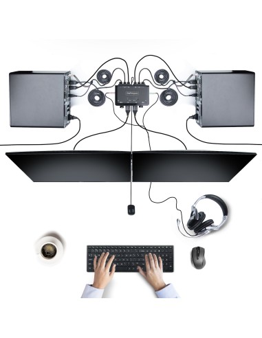 C2-D46-UAC-CBL-KVM interruptor KVM Negro