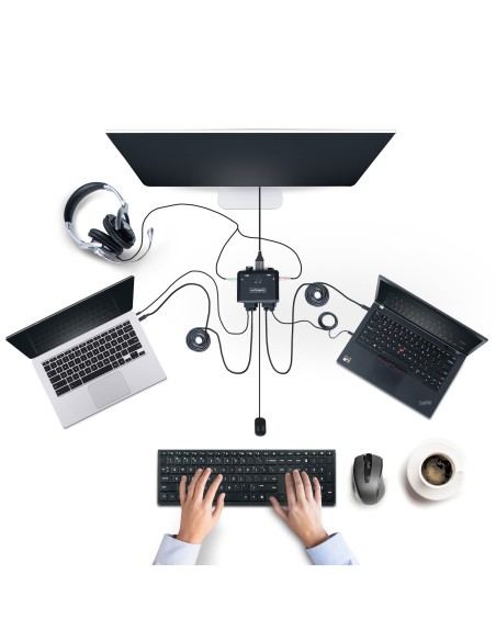 C2-D46-UC2-CBL-KVM interruptor KVM Negro