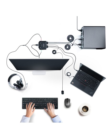 C2-H46-UAC-CBL-KVM interruptor KVM Negro