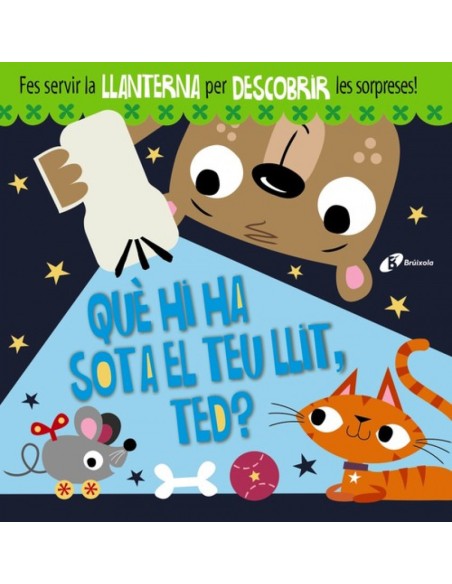 QUE HI HA SOTA EL TEU LLIT TED