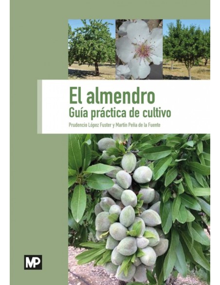 EL ALMENDRO