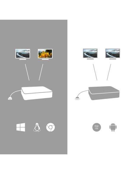 USB-C Dual Display Docking Station with Power Delivery 65W + Universal Charger 77 W