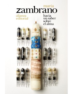 HACIA UN SABER SOBRE EL ALMA