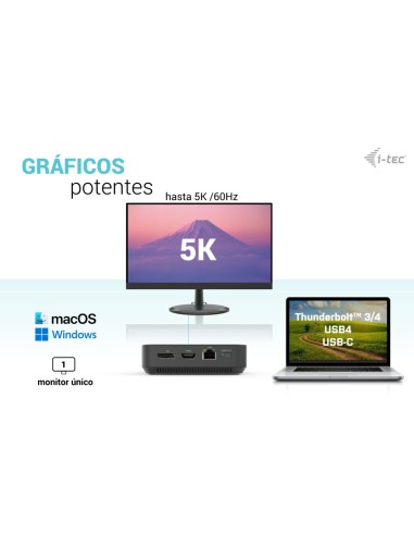 USB-C HDMI Dual DP Docking Station with Power Delivery 100 W