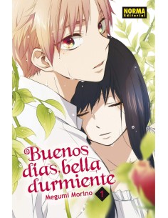 BUENOS DIAS BELLA DURMIENTE 1