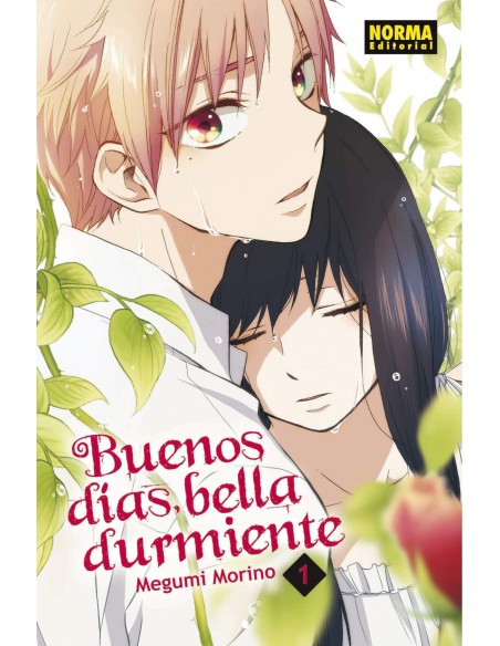 BUENOS DIAS BELLA DURMIENTE 1