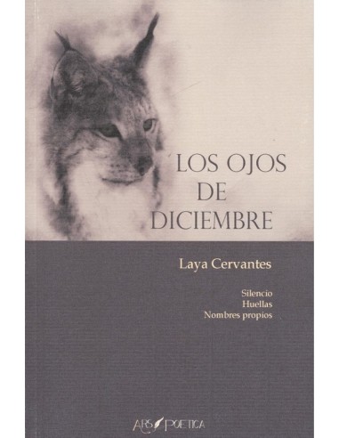 LOS OJOS DE DICIEMBRE