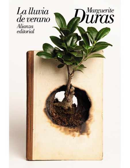LA LLUVIA DE VERANO