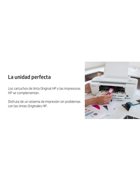 Cartucho de tinta original 300 Tri-color