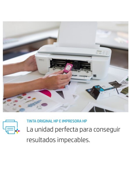 Cartucho de tinta original 300 Tri-color