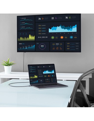 Cable de 2m USB-C a DVI - 1920 x 1200 - Negro